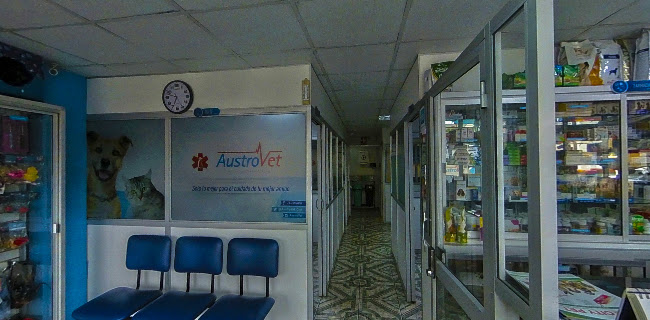 Opiniones de AustroVet Clinica Veterinaria en Cuenca - Veterinario