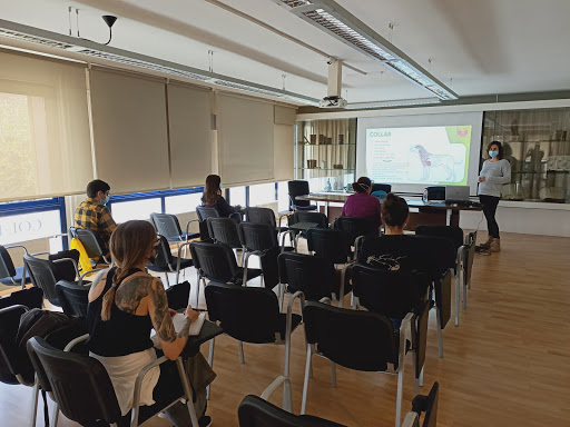 Col·legi de Veterinaris de Girona en Girona