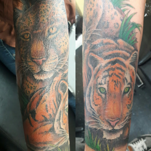 Tattoo Shop «Echo Tattoo», reviews and photos, 19508 Aurora Ave N, Shoreline, WA 98133, USA