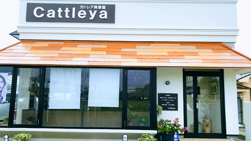 Cattleya Hair Salon