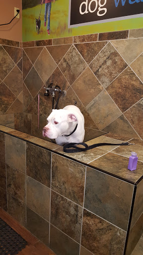 Pet Valu, 1832 Bethlehem Pike, Flourtown, PA 19031, USA, 