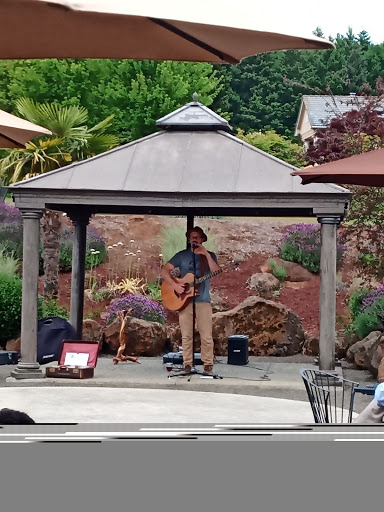 Vineyard «Cubanisimo Vineyards», reviews and photos, 1754 Best Rd NW, Salem, OR 97304, USA