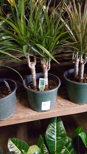 Hardware Store «Orchard Supply Hardware», reviews and photos, 1440 Fitzgerald Dr, Pinole, CA 94564, USA