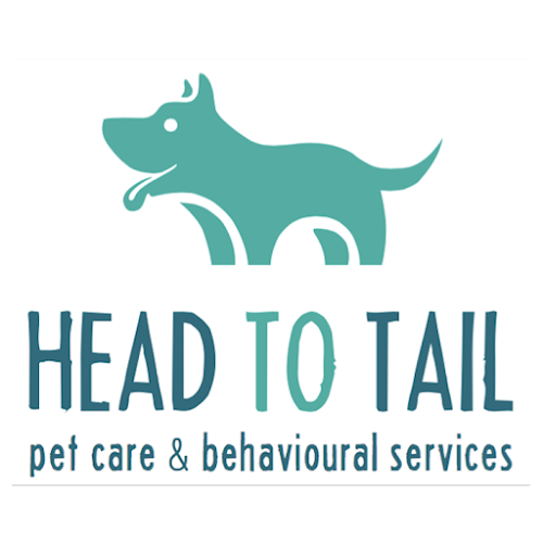 Comments and reviews of Head to Tail