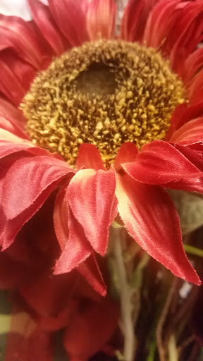 Florist «Highland Flower», reviews and photos, 75 Raritan Ave, Highland Park, NJ 08904, USA