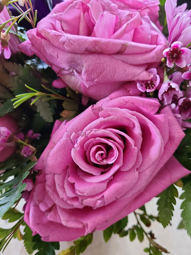 Florist «Fort Lauderdale Florist», reviews and photos, 1115 N Federal Hwy, Fort Lauderdale, FL 33304, USA