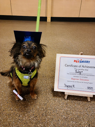 Pet Supply Store «PetSmart», reviews and photos, 6046 Marsha Sharp Fwy, Lubbock, TX 79407, USA