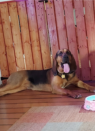 120 E Dudley St, Maumee, OH 43537, USA