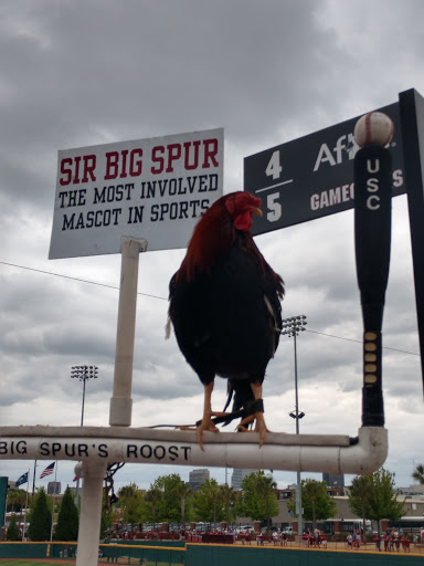 Baseball Field «Founders Park», reviews and photos, 431 Williams St, Columbia, SC 29201, USA