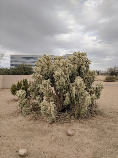 History Museum «Pueblo Grande», reviews and photos, 4619 E Washington St, Phoenix, AZ 85034, USA