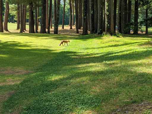 Golf Club «Souhegan Woods Golf Club‎», reviews and photos, 65 Thornton Ferry Rd II, Amherst, NH 03031, USA