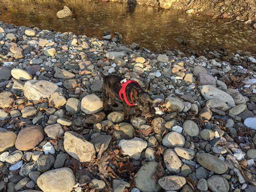 Pet Supply Store «Bow Wow & Meow», reviews and photos, 11607 Maumelle Blvd, North Little Rock, AR 72113, USA