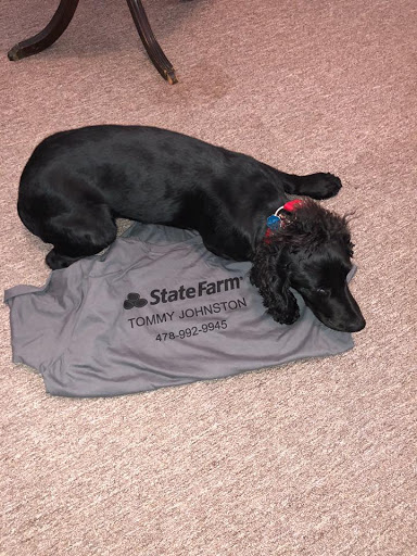 Insurance Agency «Tommy Johnston - State Farm Insurance Agent», reviews and photos