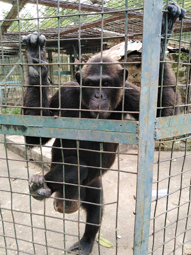 Makurdi Zoological Garden, Makurdi, Nigeria, Zoo, state Benue