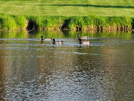 Country Club «North Shore Country Club», reviews and photos, 3100 W Country Club Dr, Mequon, WI 53092, USA