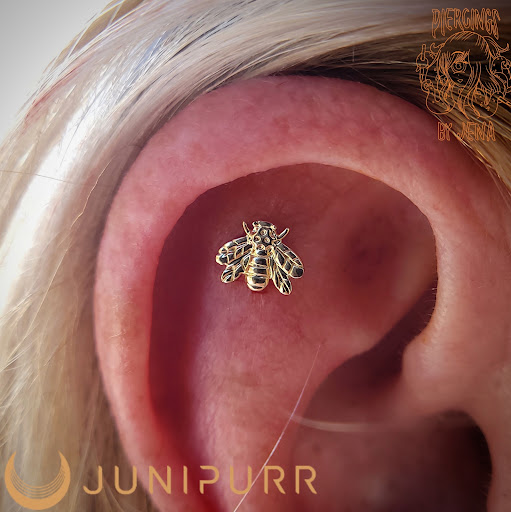 Explore firefly tattoo ideas, creative tattoo ideas in Port Charlotte, available at Level Up Tattoo and Piercing