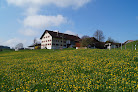 Bauernhof Sommer Waltenhofen