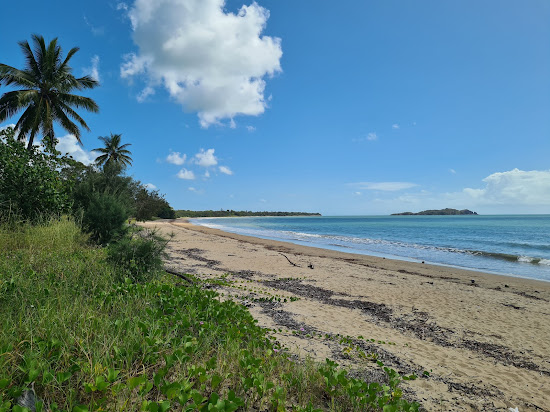 Seaforth Beach