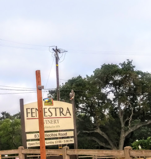 Winery «Fenestra Winery», reviews and photos, 83 Vallecitos Rd, Livermore, CA 94550, USA