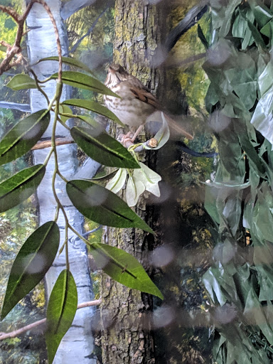 Rehabilitation Center «Willowbrook Wildlife Center», reviews and photos, 525 S Park Blvd, Glen Ellyn, IL 60137, USA