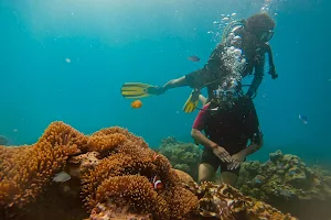 Seahawks SCUBA | Scuba diving in Havelock | Scuba diving in Andaman image