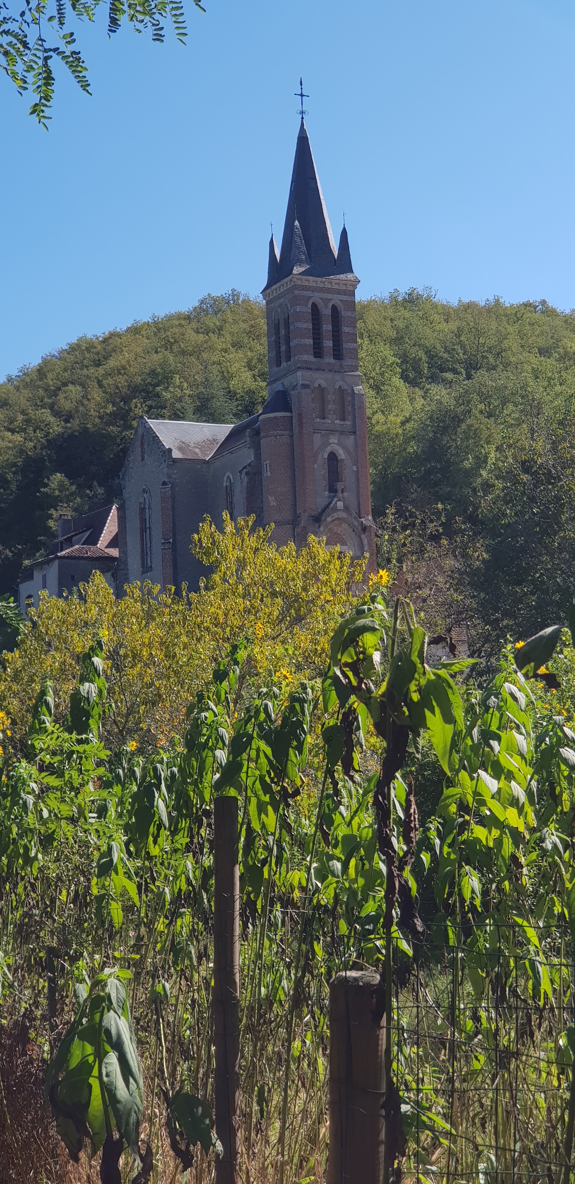 Photo n° 7 de l'avis de jean-marc.e fait le 13/10/2023 à 12:28