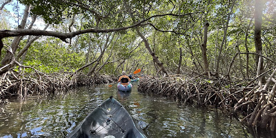 Kayaking SRQ