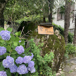 Photo n°2 de l'avis de Clara.a fait le 01/07/2022 à 11:04 sur le  Osteria Del Nibbio à Dorio