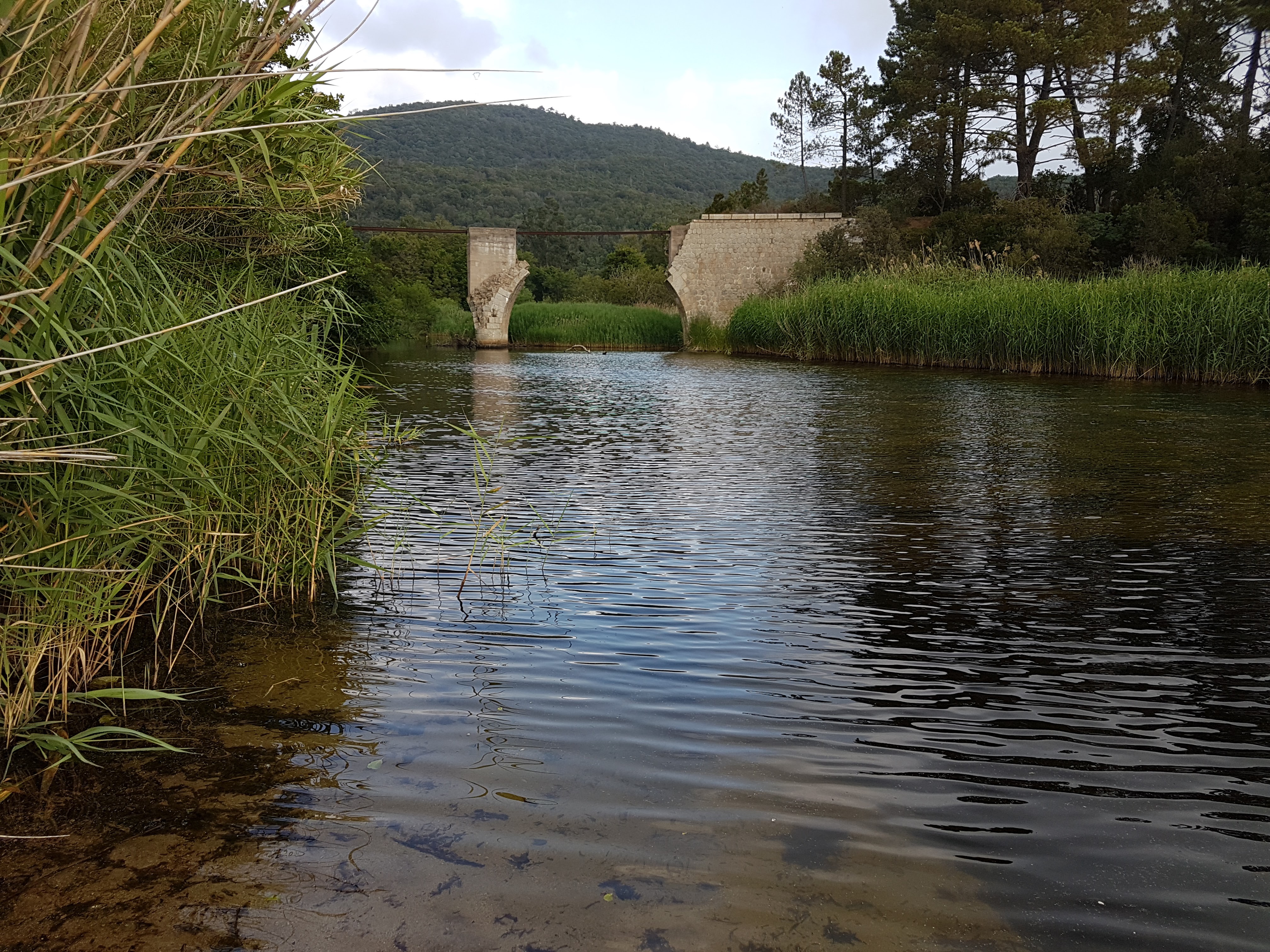 Photo n° 1 de l'avis de pascal.a fait le 20/06/2017 à 10:49