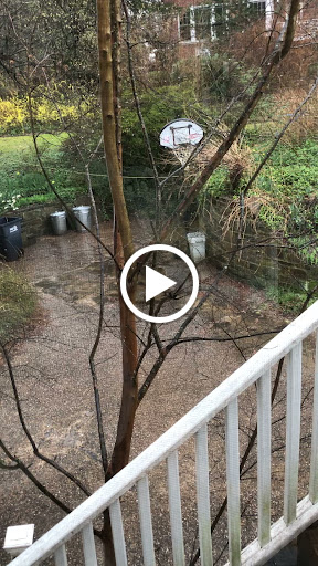 Pest Control Service «Green Pest Services», reviews and photos