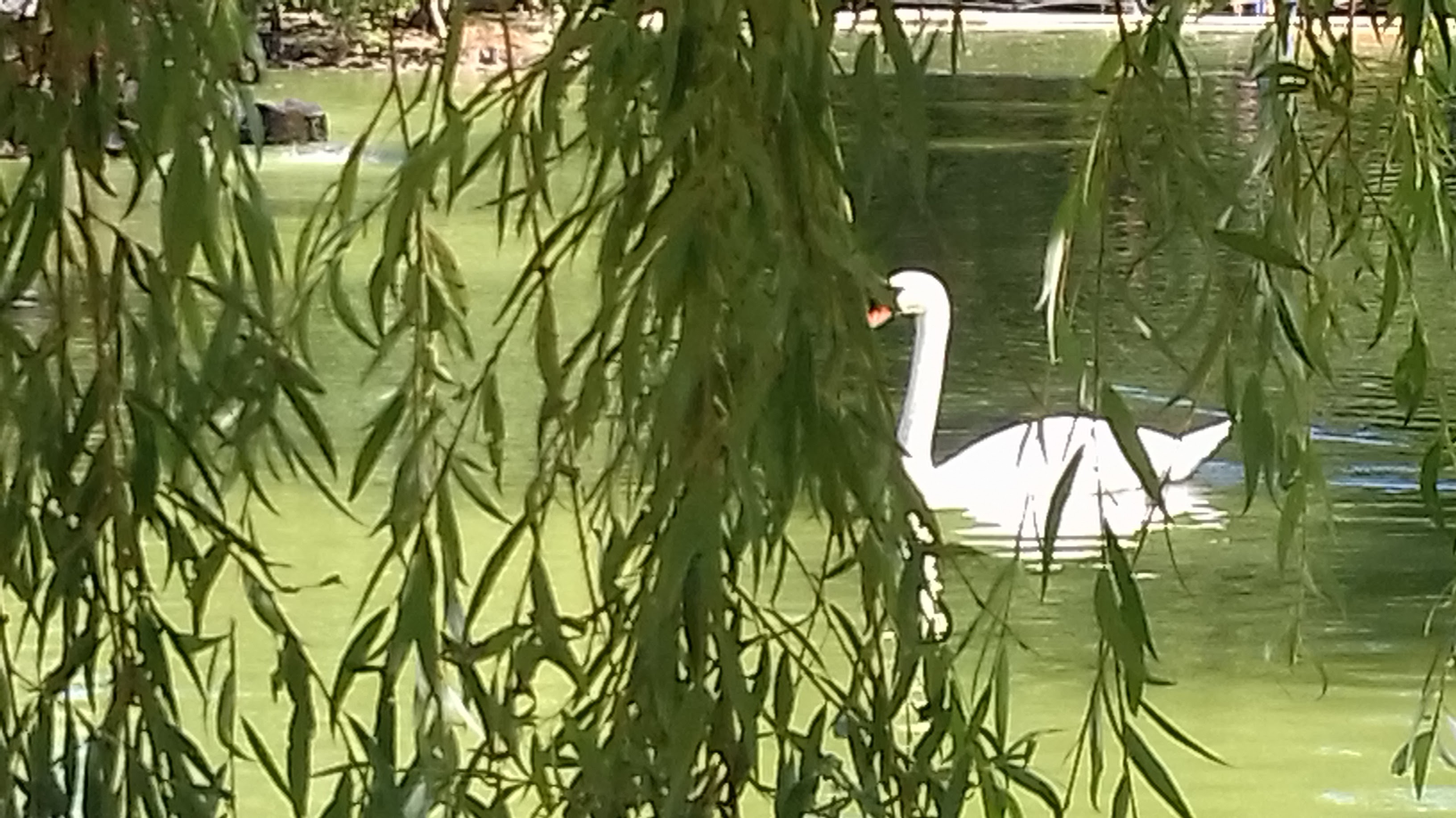 Photo n° 6 de l'avis de Gustavo.i fait le 27/08/2018 à 15:52