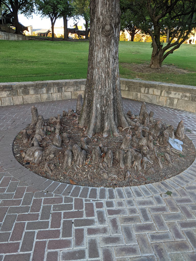 Park «Frisco Central Park», reviews and photos, 3155 Parkwood Blvd, Frisco, TX 75034, USA