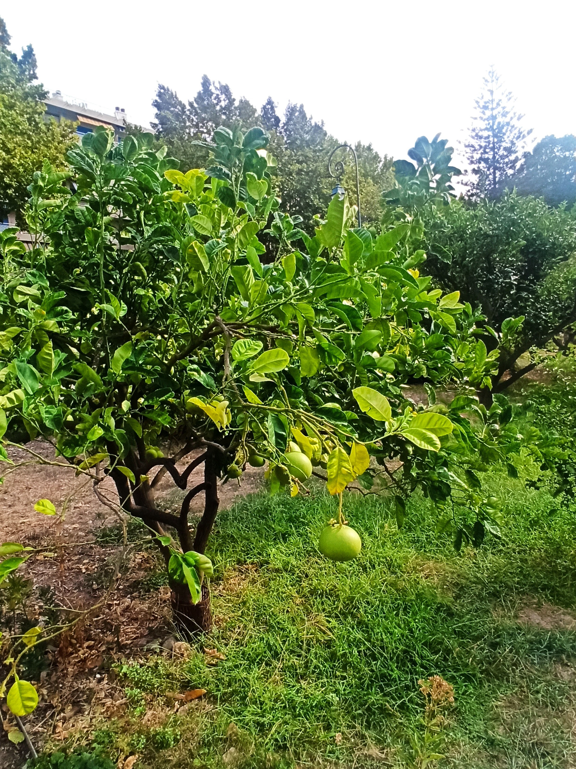 Photo n° 1 de l'avis de Valérie.o fait le 09/09/2022 à 14:51