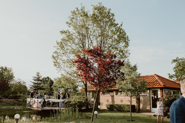 Lajosmizse, Közös tanya 7, 6050