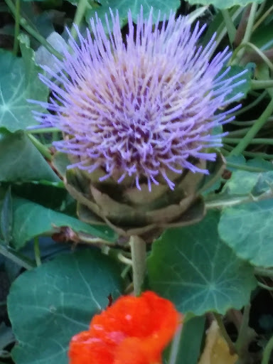 Jewelry Store «Turquoise Shop», reviews and photos, 37357 Niles Blvd, Fremont, CA 94536, USA