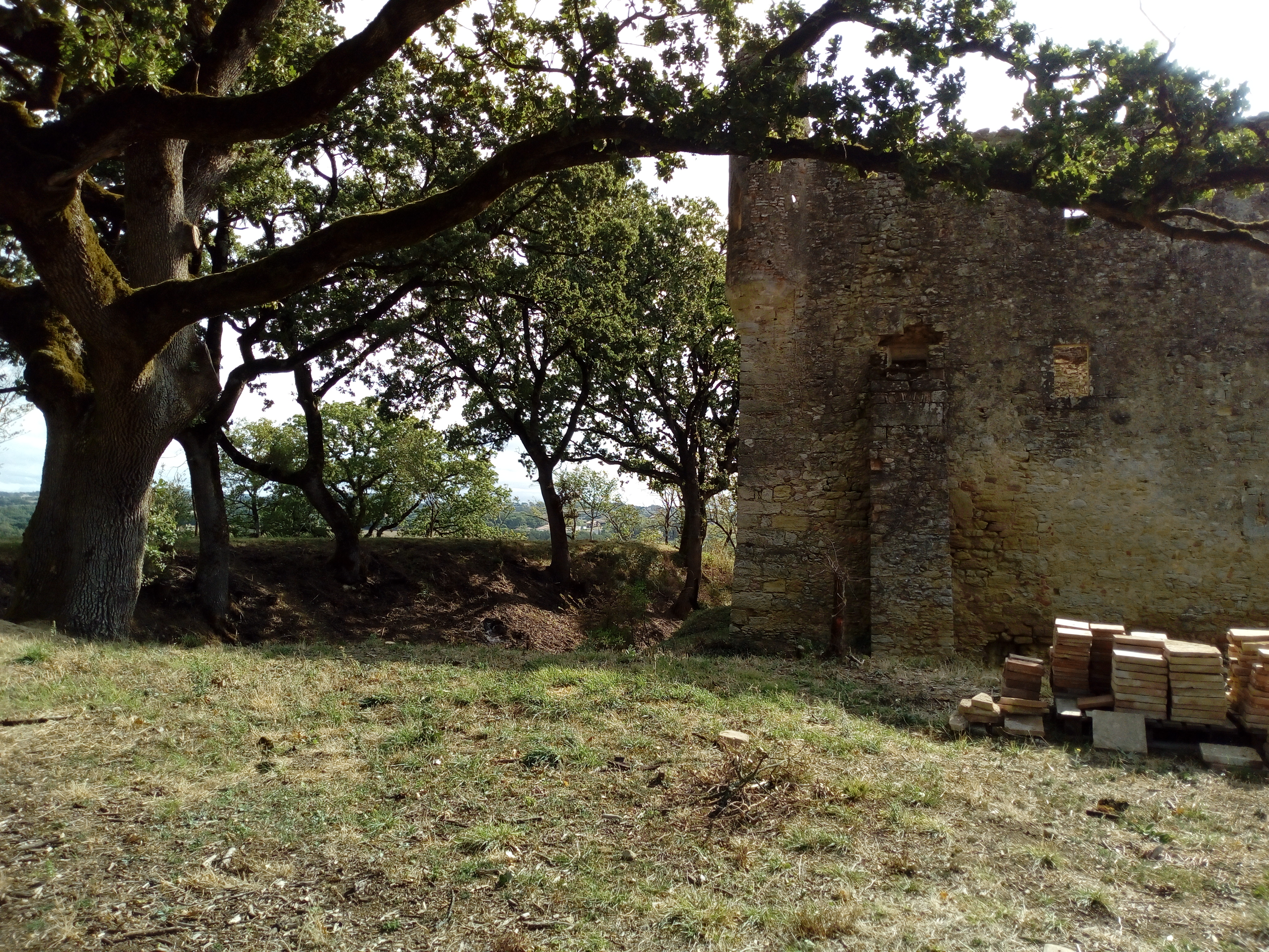 Photo n° 1 de l'avis de Delbart.e fait le 21/09/2019 à 10:11