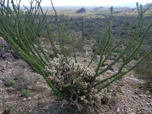 Golf Club «Verrado Golf Club», reviews and photos, 4242 N Golf Dr, Buckeye, AZ 85396, USA
