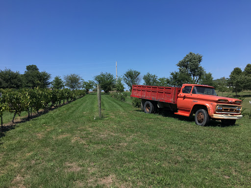 Vineyard «Stone Pillar Vineyard & Winery», reviews and photos, 11000 S Woodland St, Olathe, KS 66061, USA