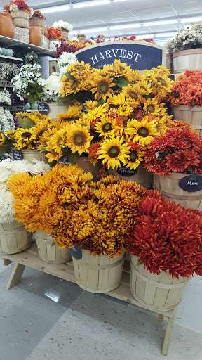 Craft Store «Michaels», reviews and photos, 2766 Brice Rd, Reynoldsburg, OH 43068, USA