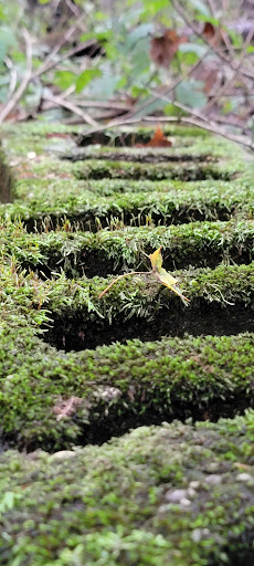 Park «Skiles Test Nature Park», reviews and photos, 6828 Fall Creek Rd, Indianapolis, IN 46220, USA