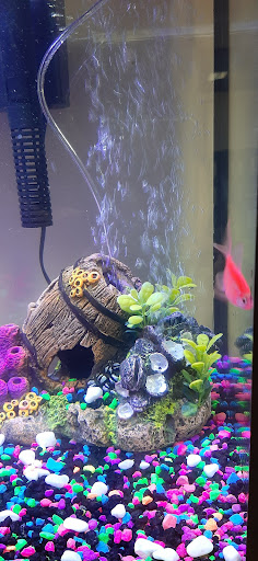 Pet Supply Store «PetSmart», reviews and photos, 321 Town Center Loop, Waynesville, NC 28786, USA