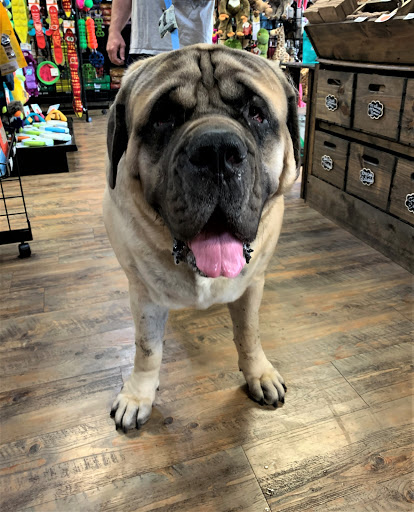 Pet Store «Earthwise Pet - Southlake», reviews and photos, 100 W Southlake Blvd #150, Southlake, TX 76092, USA