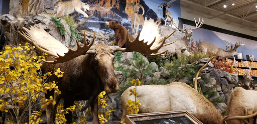 Outdoor Sports Store «Field & Stream», reviews and photos, 24600 Katy Fwy Ste 1100B, Katy, TX 77493, USA