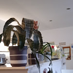 Photo n°1 de l'avis de Andreas.r fait le 06/11/2021 à 12:51 sur le  Naschkatze à Korbach