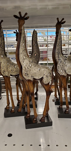 Clothing Store «Ross Dress for Less», reviews and photos, 8464 W Hillsborough Ave, Tampa, FL 33615, USA