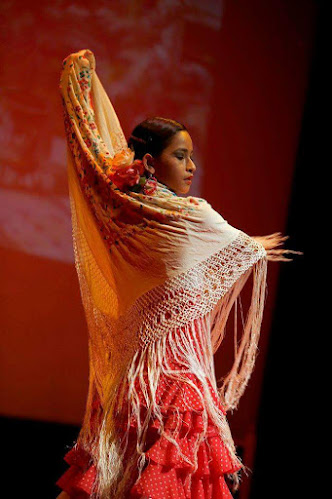 Academia de Flamenco Arte y Jaleo - Escuela de danza
