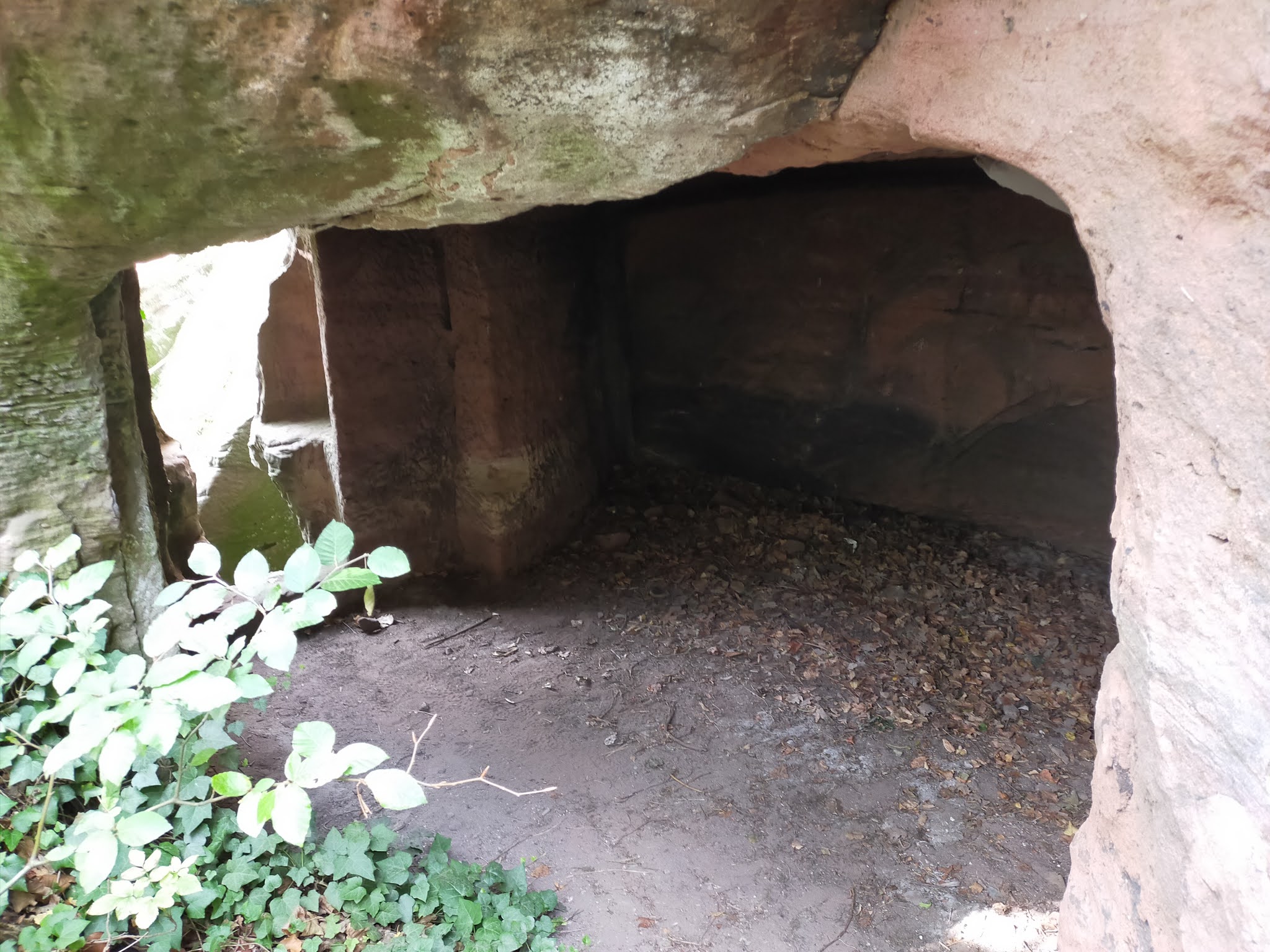 Photo n° 19 de l'avis de Julien.o fait le 30/09/2020 à 16:17