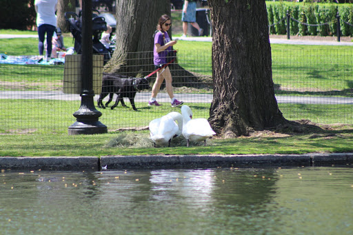 Golf Club «Woodland Golf Club», reviews and photos, 1897 Washington St, Auburndale, MA 02466, USA