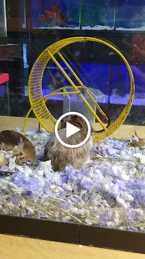 Pet Store «Wildside Pets», reviews and photos, 1042 N Higley Rd #105, Mesa, AZ 85205, USA