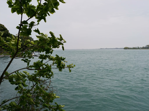 Museum «Grosse Ile Historical Museum», reviews and photos, 25000 E River Rd, Grosse Ile Township, MI 48138, USA